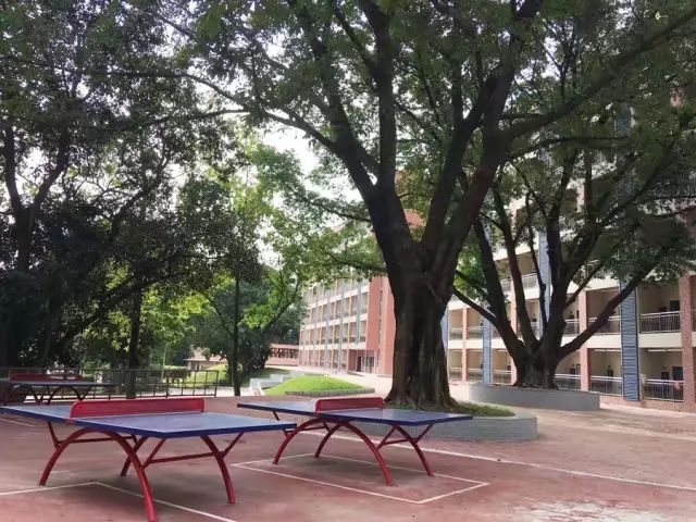學(xué)在省電商丨不負(fù)最美校園，不負(fù)青春時(shí)光