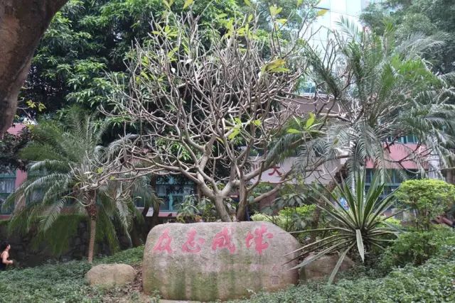 學(xué)在省電商丨不負(fù)最美校園，不負(fù)青春時(shí)光