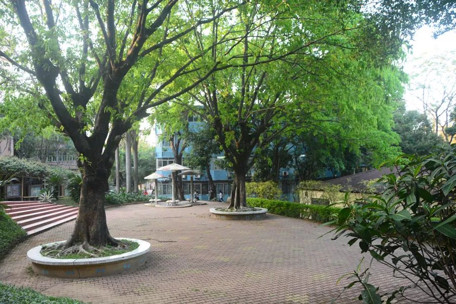 學(xué)在省電商丨不負(fù)最美校園，不負(fù)青春時(shí)光