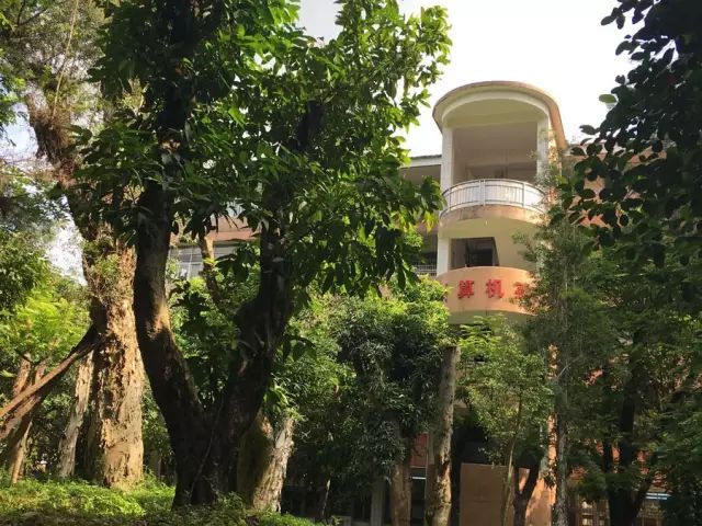 學(xué)在省電商丨不負(fù)最美校園，不負(fù)青春時(shí)光